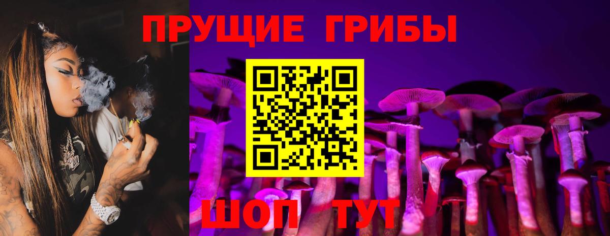 Галлюциногенные грибы мухоморы  Галлюциногенные грибы ЛСД  Усть-Илимск  закладки  Вход с VPN 
