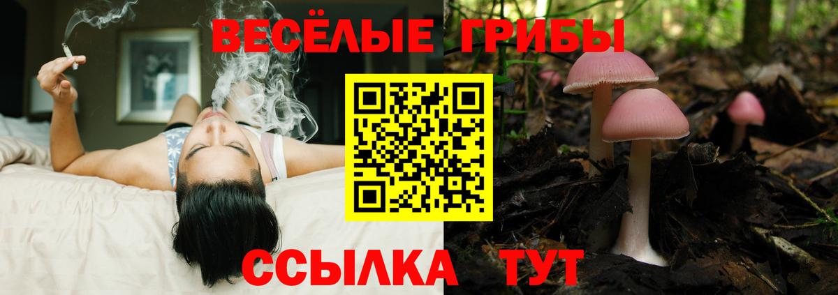 Псилоцибиновые грибы MAGIC MUSHROOMS Усть-Илимск